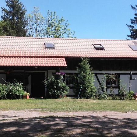 Agroturystyka Pod Debami W Klukach Smołdzino Exterior foto