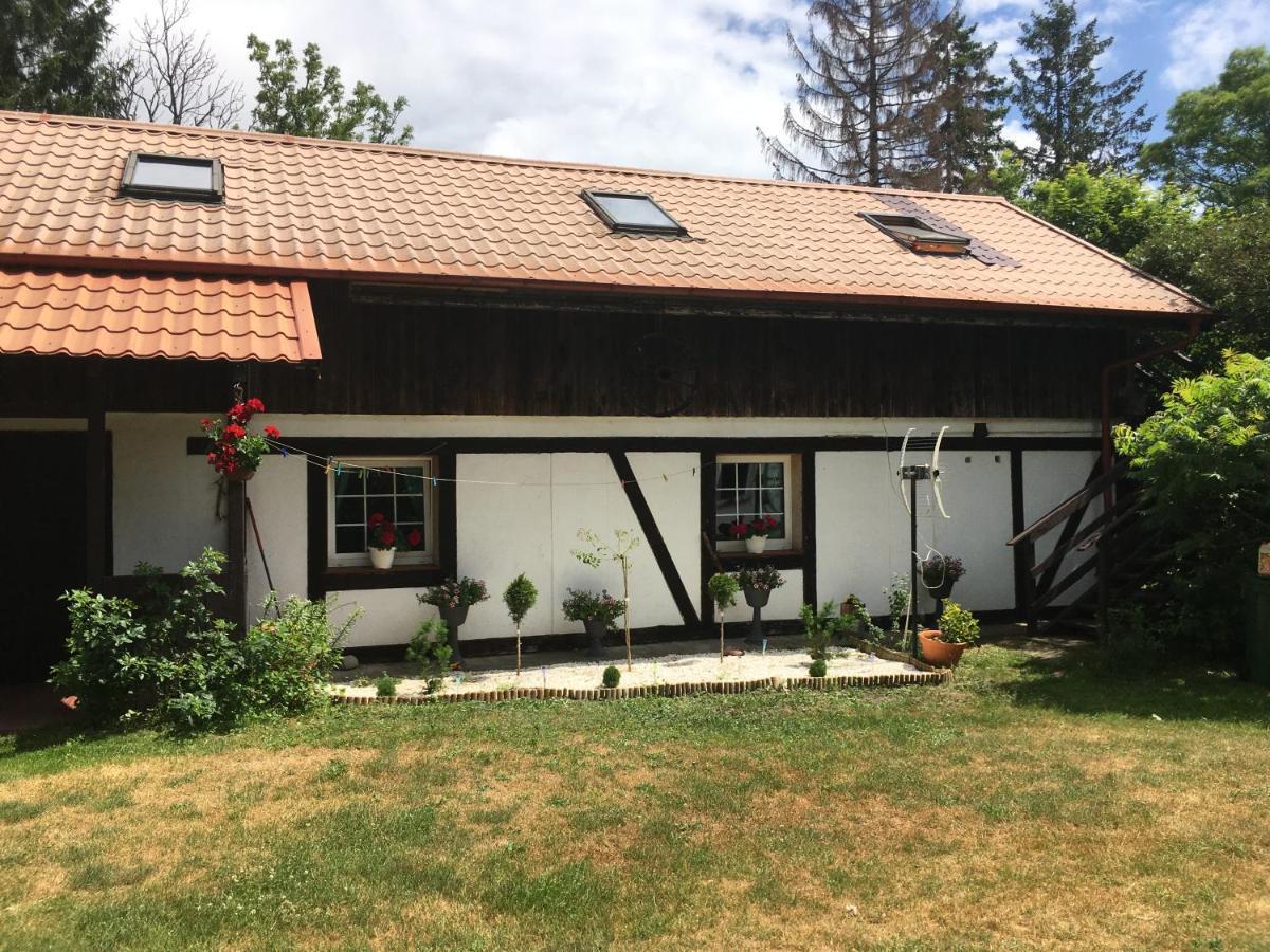 Agroturystyka Pod Debami W Klukach Smołdzino Exterior foto