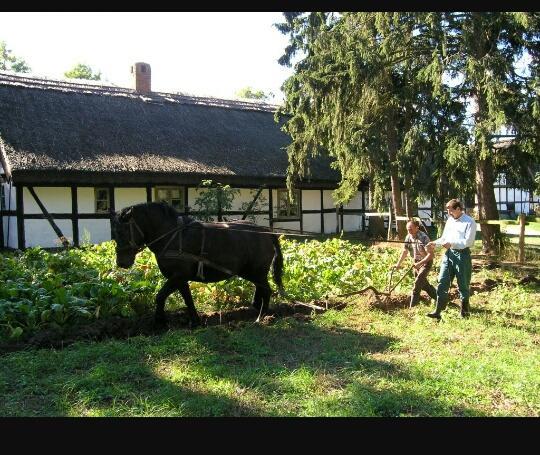 Agroturystyka Pod Debami W Klukach Smołdzino Exterior foto