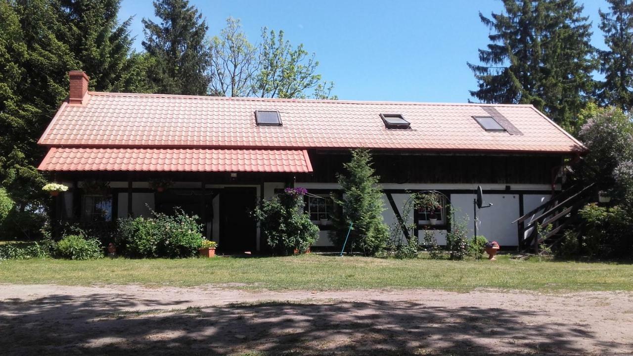 Agroturystyka Pod Debami W Klukach Smołdzino Exterior foto